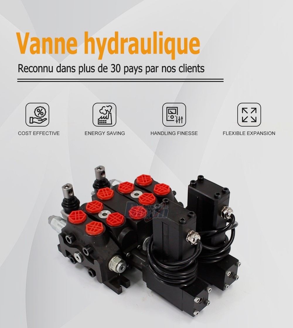 DCV60 Moteur électrique 2 tiroirs Distributeur directionnel sectionnel